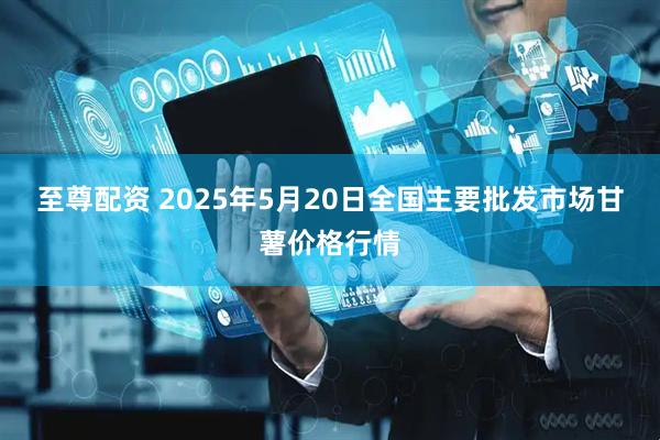 至尊配资 2025年5月20日全国主要批发市场甘薯价格行情